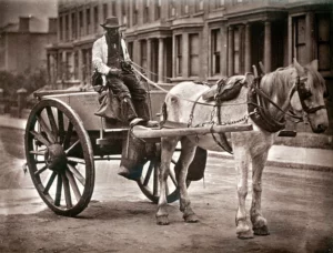 Man met baard en hoed zit op een houten kar, getrokken door een paard, in een straat met rijtjeshuizen op de achtergrond.